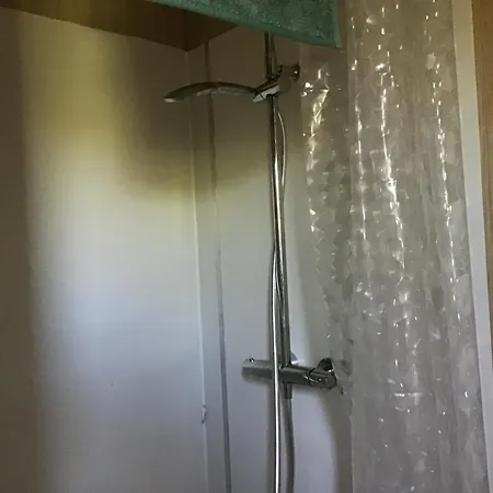 The *